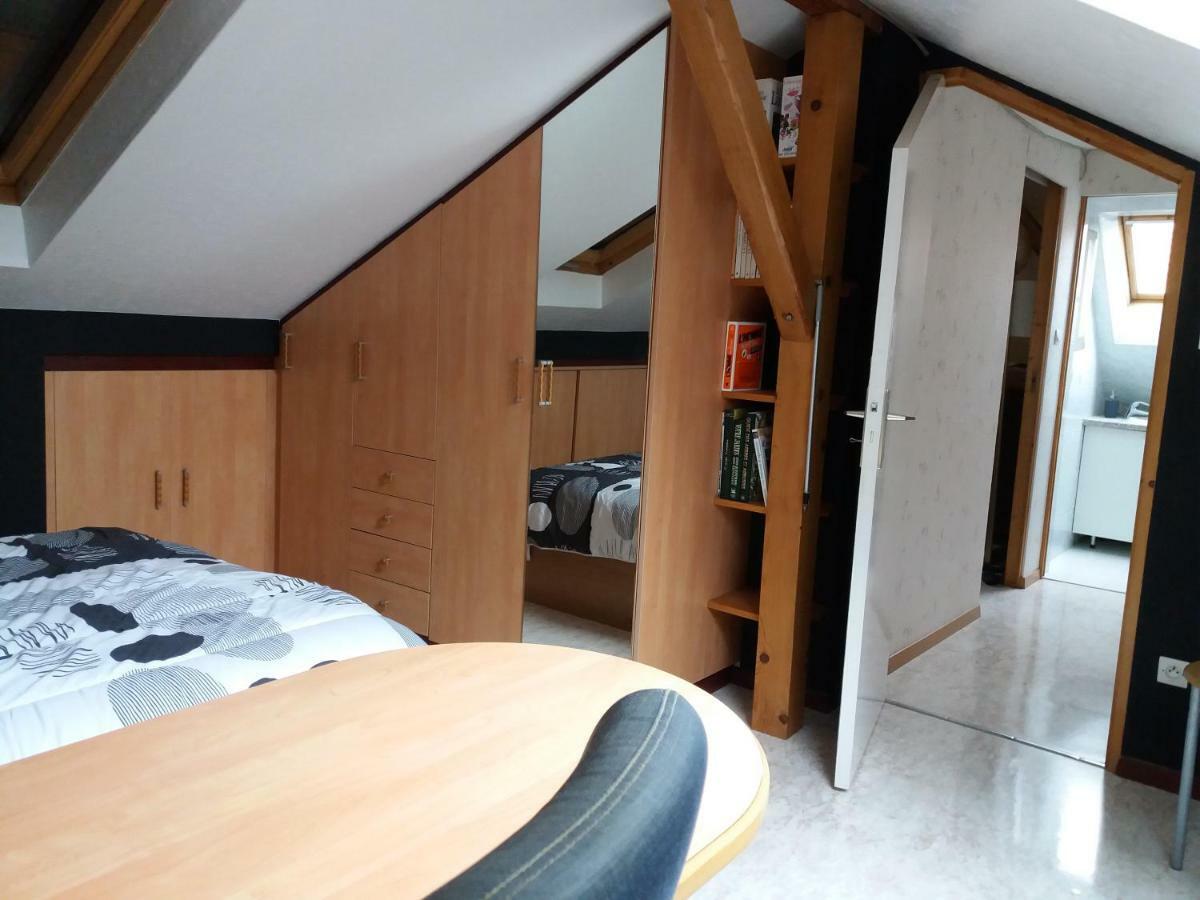 Logis 18 Rose Leilighet Strasbourg Eksteriør bilde